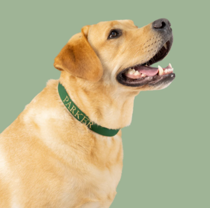 Frisco -Frisco 099d07a0cf85eca65575de6eb2c4aba9