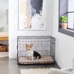 Frisco Swirl Dog Crate Mat -Frisco 110506 PT5. AC SS1800 V1635258765