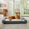 Frisco Plush Orthopedic Bolster Dog Bed W/Removable Cover -Frisco 129511 MAIN. AC SS1800 V1674157635