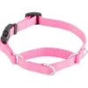 Frisco Solid Nylon Martingale Dog Collar With Buckle