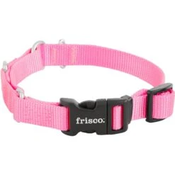 Frisco Solid Nylon Martingale Dog Collar With Buckle 12 Frisco Solid Nylon Martingale Dog Collar With Buckle -Frisco 139177 PT3. AC SS1800 V1620068872