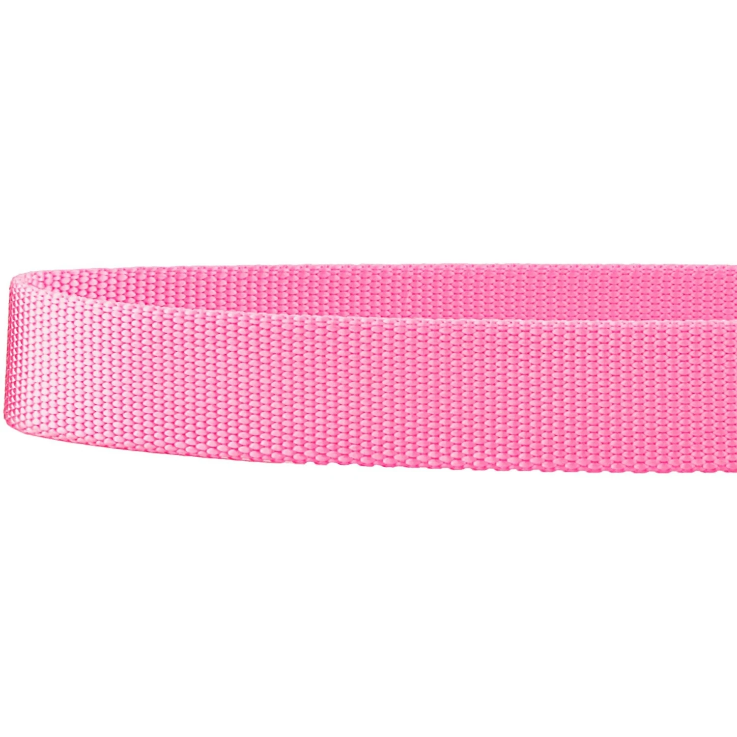 Frisco Solid Nylon Martingale Dog Collar With Buckle 8 Frisco Solid Nylon Martingale Dog Collar With Buckle - Image 6