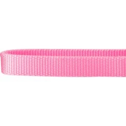 Frisco Solid Nylon Slip-On Martingale Dog Collar 10 Frisco Solid Nylon Slip-On Martingale Dog Collar -Frisco 139181 PT3. AC SS1800 V1620069443
