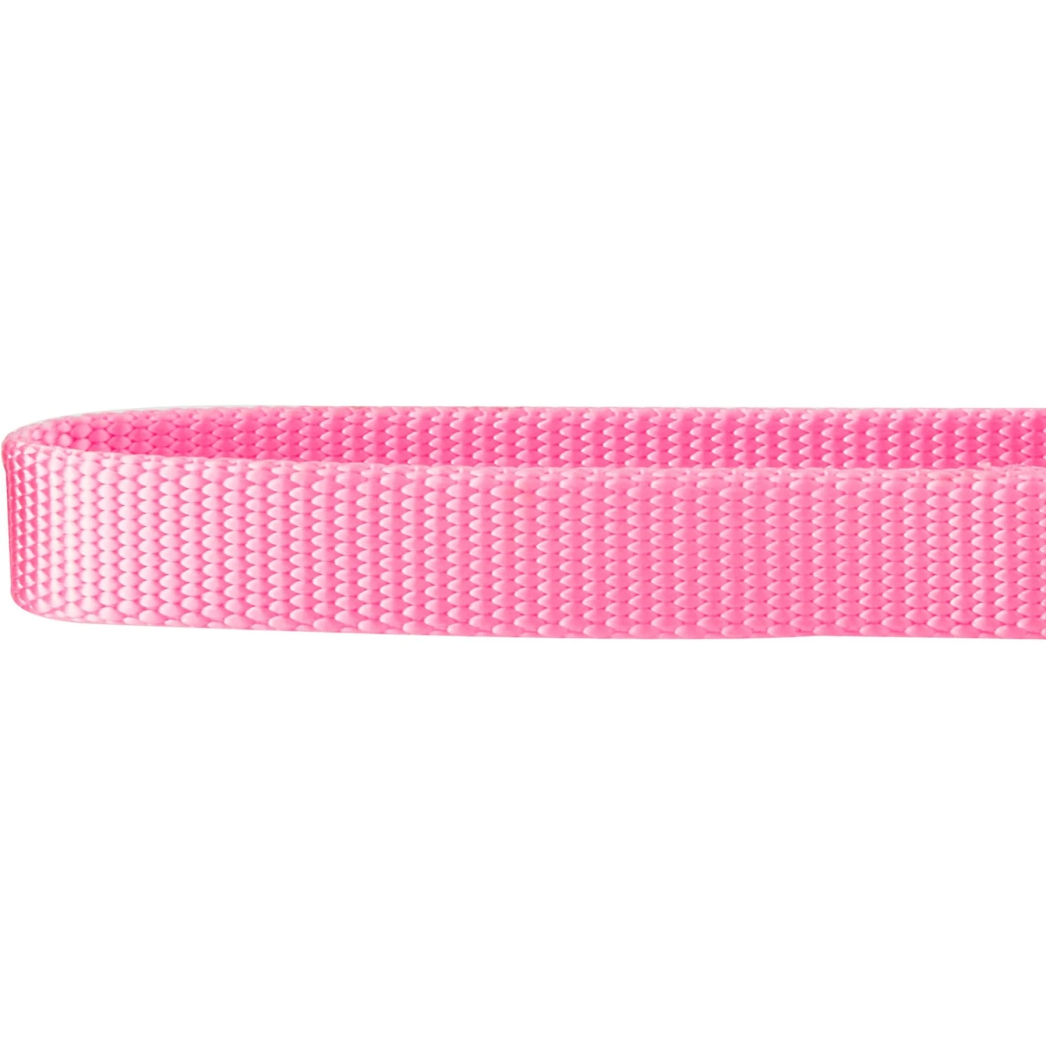 Frisco Solid Nylon Slip-On Martingale Dog Collar 6 Frisco Solid Nylon Slip-On Martingale Dog Collar - Image 4