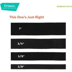 Frisco Solid Nylon Slip-On Martingale Dog Collar 11 Frisco Solid Nylon Slip-On Martingale Dog Collar -Frisco 139181 PT6. AC SS1800 V1628869272