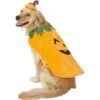 Frisco Pumpkin Dog & Cat Costume 2 Frisco Pumpkin Dog & Cat Costume -Frisco 144446 MAIN. AC SS1800 V1540495184