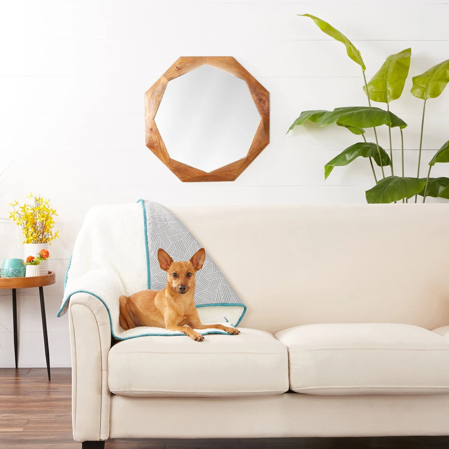 Frisco Sherpa Dog & Cat Blanket 3 Frisco Sherpa Dog & Cat Blanket