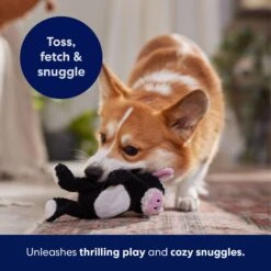 Frisco Cow Textured Plush Squeaky Dog Toy -Frisco 147059 PT5. AC SS1800 V1691776636