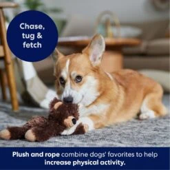 Frisco Bear Plush With Inside Rope Squeaky Dog Toy -Frisco 147061 PT4. AC SS1800 V1695659155