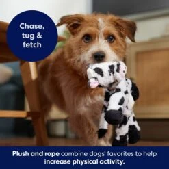 Frisco Cow Plush With Inside Rope Squeaky Dog Toy -Frisco 147063 PT5. AC SS1800 V1691776574