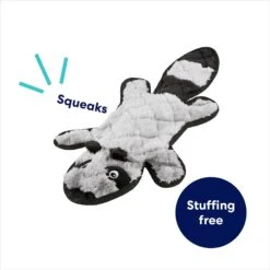 Frisco Raccoon Stuffing-Free Flat Plush Squeaky Dog Toy -Frisco 147071 PT2. AC SS1800 V1692826085