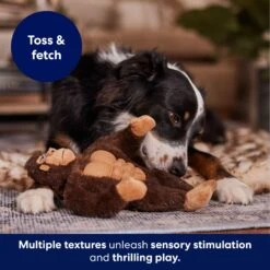 Frisco Gorilla Muscle Plush Squeaky Dog Toy -Frisco 147084 PT5. AC SS1800 V1694182068