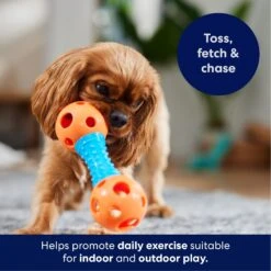 Frisco Dumbbell TPR Fetch Dog Toy -Frisco 147108 PT3. AC SS1800 V1695241969