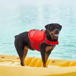 Frisco Neoprene Dog Life Jacket -Frisco 152465 PT7. AC SS1800 V1631058734