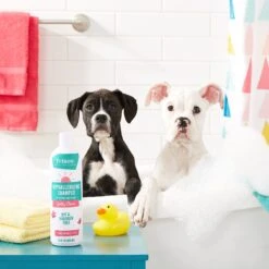 Frisco Hypoallergenic Puppy & Kitten Shampoo, Unscented -Frisco 152571 PT2. AC SS1800 V1551302781