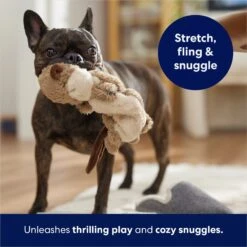 Frisco Beaver Bungee Plush Squeaky Dog Toy -Frisco 152824 PT5. AC SS1800 V1686580146