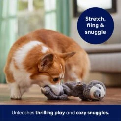 Frisco Sloth Bungee Plush Squeaky Dog Toy -Frisco 152826 PT5. AC SS1800 V1686579214