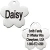 Frisco Stainless Steel Personalized Dog & Cat ID Tag, Flower 1 Frisco Stainless Steel Personalized Dog & Cat ID Tag, Flower -Frisco 153002 MAIN. AC SS1800 V1540562246
