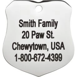 Frisco Stainless Steel Personalized Dog & Cat ID Tag, Badge 12 Frisco Stainless Steel Personalized Dog & Cat ID Tag, Badge -Frisco 153009 PT3. AC SS1800 V1548964788