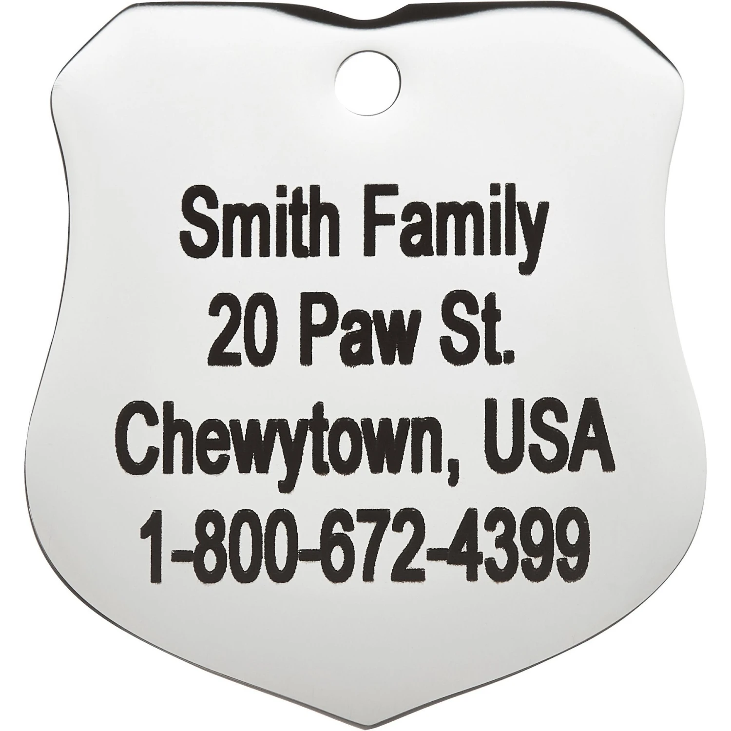 Frisco Stainless Steel Personalized Dog & Cat ID Tag, Badge 6 Frisco Stainless Steel Personalized Dog & Cat ID Tag, Badge - Image 4