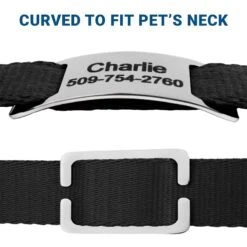 Frisco Stainless Steel Slide-On Personalized Dog & Cat Tag, Open Design 10 Frisco Stainless Steel Slide-On Personalized Dog & Cat Tag, Open Design -Frisco 153050 PT4. AC SS1800 V1644016599