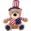 Frisco American Flag Bear Plush Squeaky Dog Toy 1 Frisco American Flag Bear Plush Squeaky Dog Toy -Frisco 157187 Main. AC SS1800 V1559764050