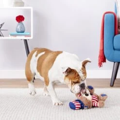 Frisco American Flag Bear Plush Squeaky Dog Toy 7 Frisco American Flag Bear Plush Squeaky Dog Toy -Frisco 157187 PT2. AC SS1800 V1559764047