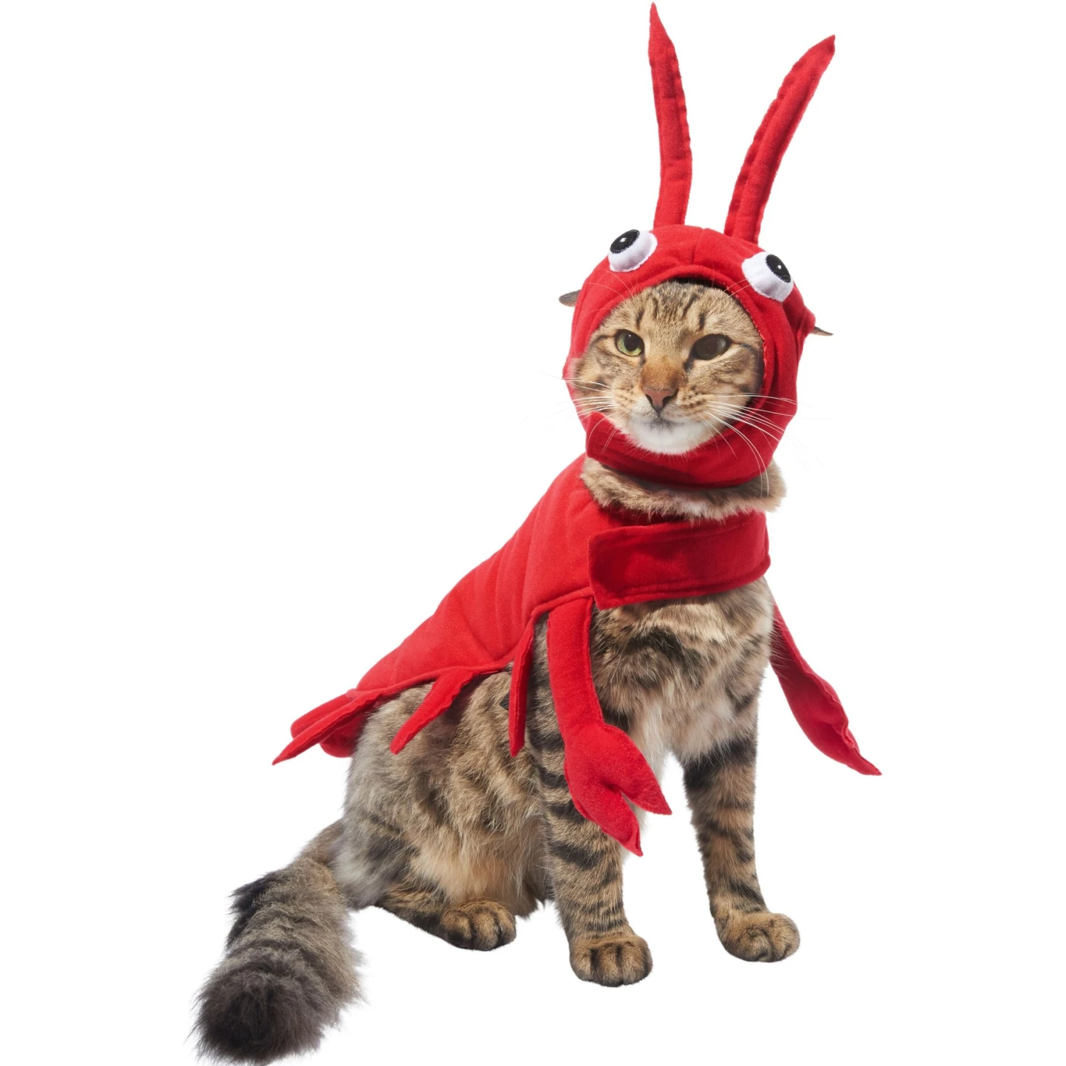 Frisco Red Lobster Dog & Cat Costume 3 Frisco Red Lobster Dog & Cat Costume