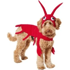 Frisco Red Lobster Dog & Cat Costume 12 Frisco Red Lobster Dog & Cat Costume -Frisco 158723 PT2. AC SS1800 V1659023725