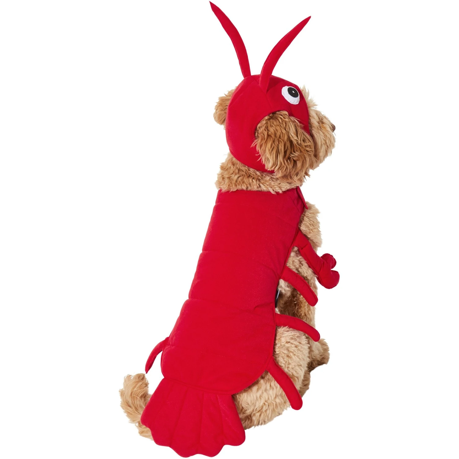 Frisco Red Lobster Dog & Cat Costume 6 Frisco Red Lobster Dog & Cat Costume - Image 4