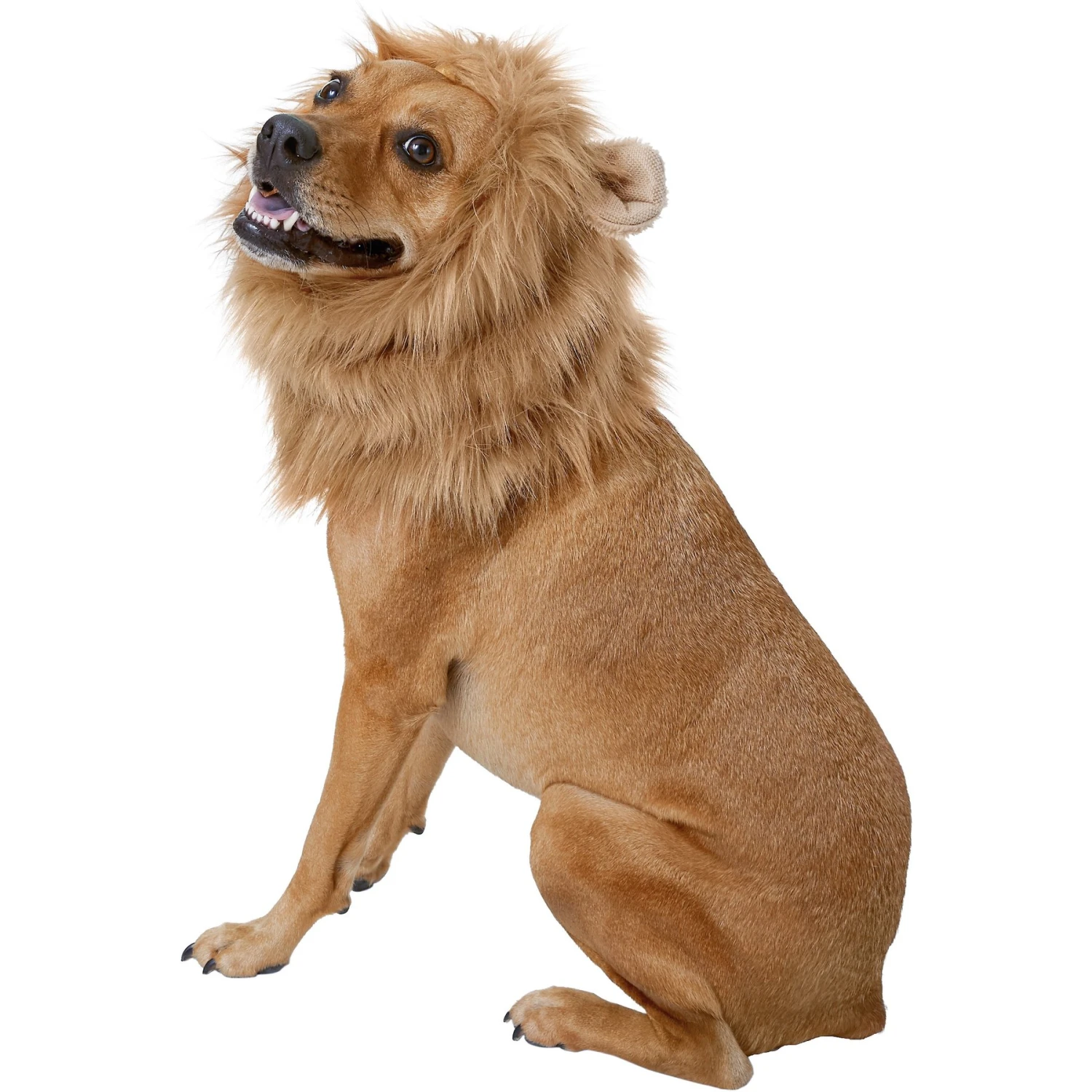 Frisco Lion Mane Dog & Cat Costume 3 Frisco Lion Mane Dog & Cat Costume