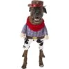 Frisco Front Walking Cowboy Dog & Cat Costume -Frisco 158842 Main. AC SS1800 V1564408627