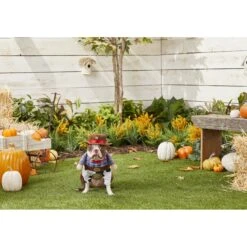 Frisco Front Walking Cowboy Dog & Cat Costume 11 Frisco Front Walking Cowboy Dog & Cat Costume -Frisco 158842 PT3. AC SS1800 V1567176047