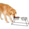 Frisco Pyramid Elevated Stainless Steel Double Diner Dog & Cat Bowl -Frisco 159884 MAIN. AC SS1800 V1583424776