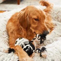 Frisco Halloween Skeleton Plush With Rope Squeaky Dog Toy -Frisco 161358 PT6. AC SS1800 V1597599370