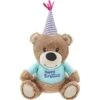 Frisco Birthday Bear Plush Squeaky Dog Toy -Frisco 162836 Main. AC SS1800 V1565379440