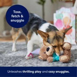 Frisco Birthday Bear Plush Squeaky Dog Toy -Frisco 162836 PT4. AC SS1800 V1695670999