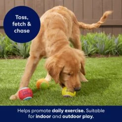 Frisco Birthday Fetch Squeaky Tennis Ball Dog Toy -Frisco 162914 PT3. AC SS1800 V1692019914