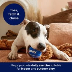 Frisco Chewy Fetch Squeaky Tennis Ball Dog Toy -Frisco 164314 PT5. AC SS1800 V1691783910
