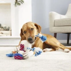 Frisco Holiday Snowman Plush With Rope Squeaky Dog Toy 9 Frisco Holiday Snowman Plush With Rope Squeaky Dog Toy -Frisco 164645 PT2. AC SS1800 V1568910233