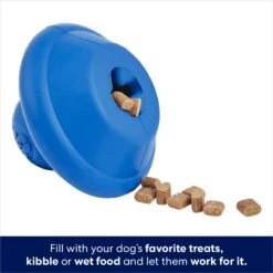 Frisco Flying Saucer Rubber Treat Dispenser Dog Toy 12 Frisco Flying Saucer Rubber Treat Dispenser Dog Toy -Frisco 164757 PT3. AC SS1800 V1686579570