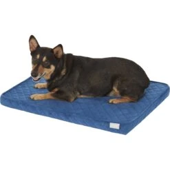 Frisco Quilted Orthopedic Pillow Cat & Dog Bed W/Removable Cover 10 Frisco Quilted Orthopedic Pillow Cat & Dog Bed W/Removable Cover -Frisco 165196 PT2. AC SS1800 V1568726226