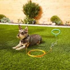 Frisco Tie Out Cable, Medium 5 Frisco Tie Out Cable, Medium -Frisco 166389 PT2. AC SS1800 V1573676616