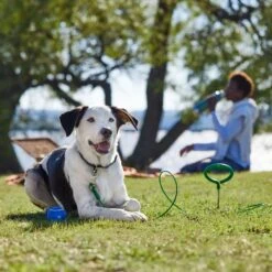 Frisco Easy Grip Stake With Tie Out Cable, Large 12 Frisco Easy Grip Stake With Tie Out Cable, Large -Frisco 166447 PT5. AC SS1800 V1701796826