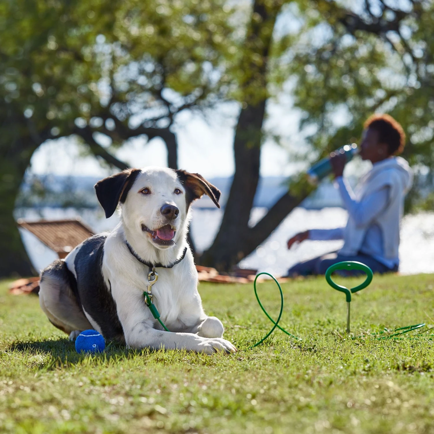 Frisco Easy Grip Stake With Tie Out Cable, Large 7 Frisco Easy Grip Stake With Tie Out Cable, Large - Image 5