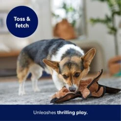 Frisco Beaver Stuffing-Free Flat Plush Squeaky Dog Toy -Frisco 174729 PT4. AC SS1800 V1695671063