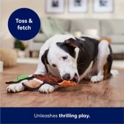 Frisco Mallard Stuffing-Free Flat Plush Squeaky Dog Toy -Frisco 174731 PT5. AC SS1800 V1686579082