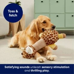 Frisco Giraffe Bobberz Plush Squeaky Dog Toy -Frisco 174739 PT4. AC SS1800 V1695748355