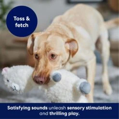 Frisco Llama Bobberz Plush Squeaky Dog Toy -Frisco 174741 PT4. AC SS1800 V1695671063