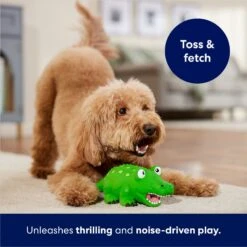 Frisco Alligator Latex Squeaky Dog Toy 10 Frisco Alligator Latex Squeaky Dog Toy -Frisco 174772 PT3. AC SS1800 V1686579212